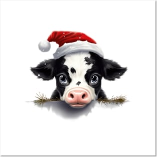 Christmas Peeking Baby Cow Posters and Art